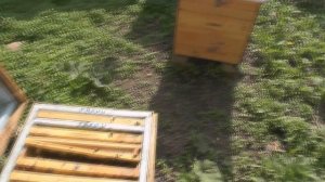 как поставить рамку дадан в украинский улей