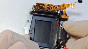 ПОЛГОДА И НОВЫЙ ЗАТВОР СТЕРСЯ. EOS R скоростная серийная съемка