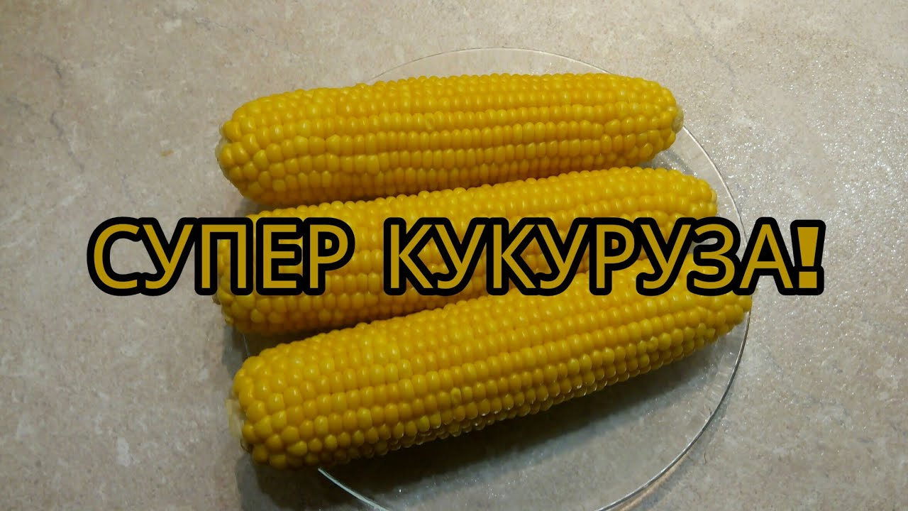Как сварить кормовую кукурузу чтобы была мягкая. Как правильно выбирать кукурузу. сколько варить кукурузу в початках. как правильно сварить кукурузу чтобы она была мягкой.