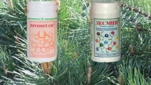 Ролик компании ФИТОЛАЙН на 18 ти летии АРГО