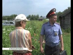 Дачные кражи 13 07 15