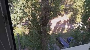 Женщине не нужен муж, ЖЕНЩИНЕ нужен МУЖЧИНА!!!💞💓💗💖