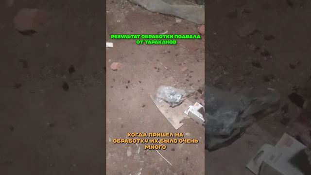 Результат виден не вооружённым глазом