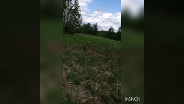 Карелия. Коп 2023