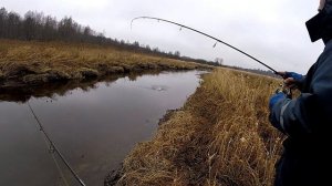 Активная щука раздает в декабре...ЧТО!?