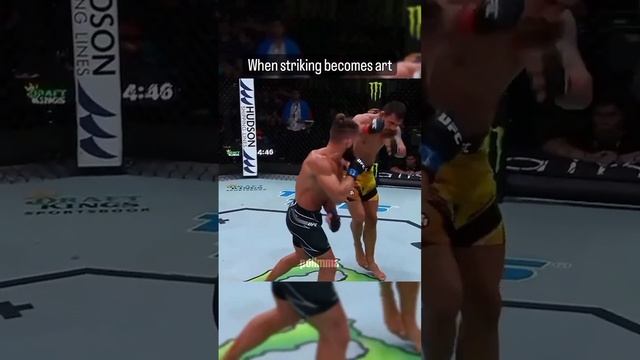 When MMA Becomes Art