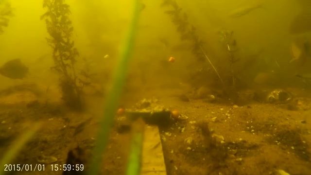 КУПАЙЛО . 22 июня 21 г. Тур. пляж Запорожстали о. Хортица . смотреть онлайн