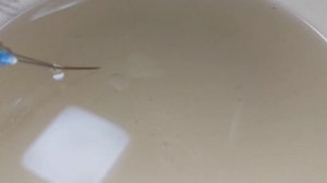 Выводит ли антигель конденсат,  зимняя дизельная присадка и вода.