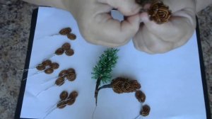 Шишка сосны из бисера. Мастер - класс. Бисероплетение.