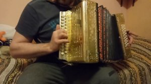 Гармонь шуйская лира, позолота, блеск.