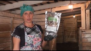 Спасти коз от запаха аммиака