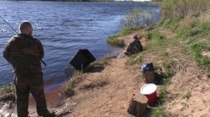 Река Луга. Рыбалка в мае 2020 г. Попытка поймать сырть.