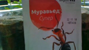 Муравьед Супер - супер средство от муравьёв