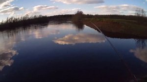 Первый активный клёв уклейки