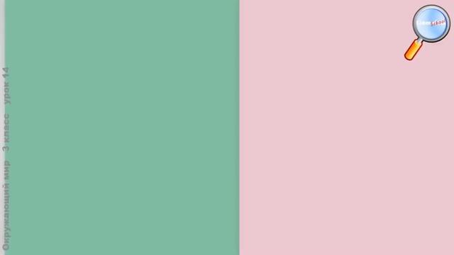 ОРГАНЫ ЧУВСТВ смотреть онлайн