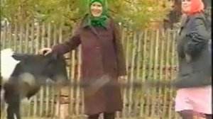 Кукушка Узкоколейка Нижний Тагил