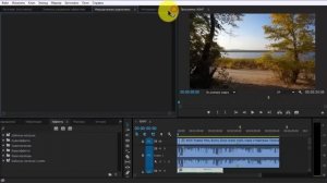 {Adobe Premiere Pro} Как ДОБАВИТЬ АУДИО Работа со ЗВУКОМ. Вставка фоновой музыки