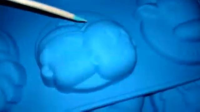 Мастер- класс по формам "Знаки зодиака" смотреть онлайн