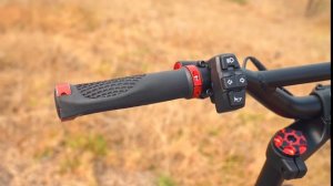 Kaabo Wolf Warrior X Review + Wolf Warrior X Pro Review  2021’s Most Underrated Electric Scooter