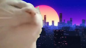 Кот качает головой под крутую музыку и под крутой фон