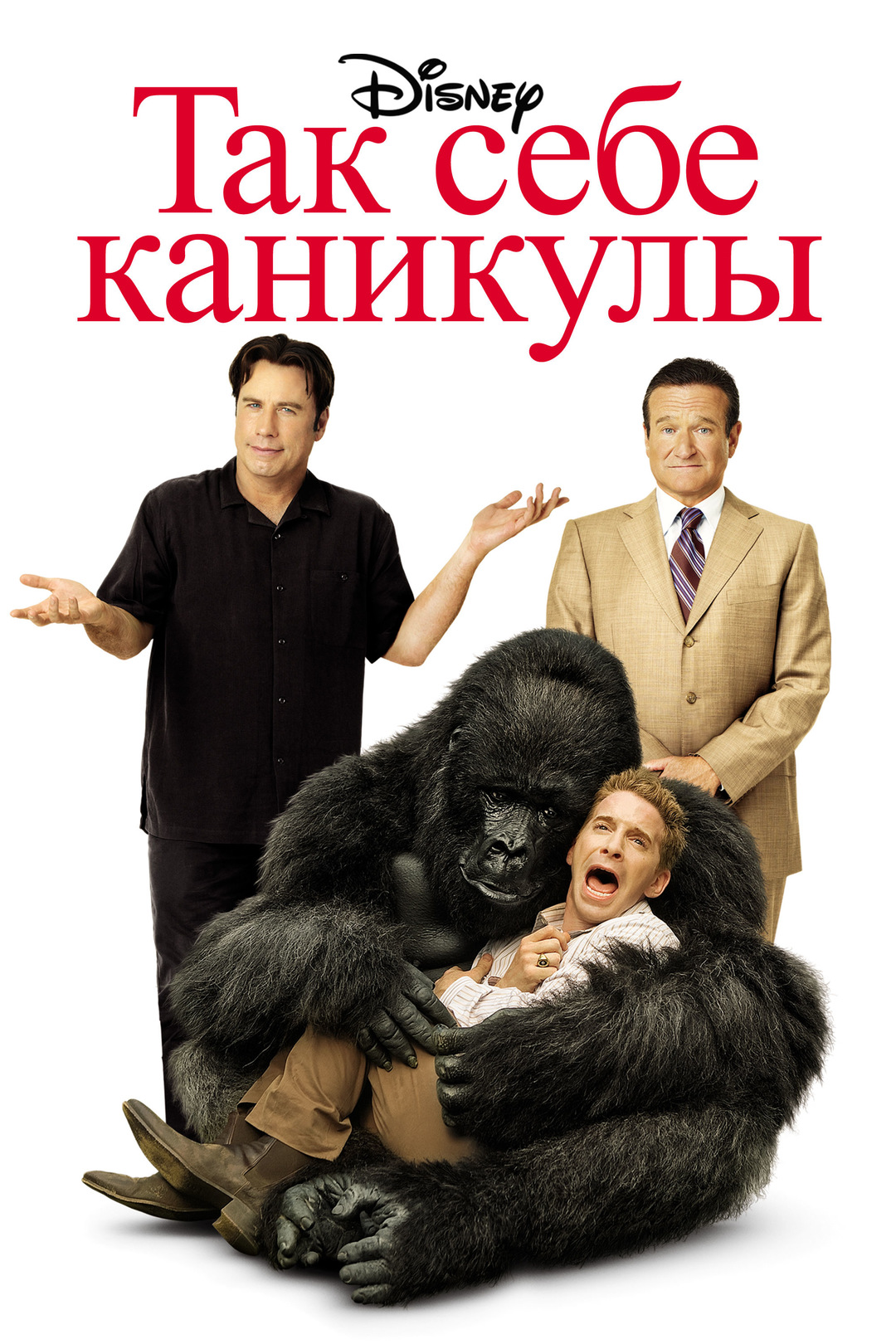 Так себе каникулы (фильм, 2009)