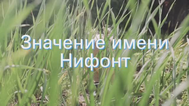 Значение имени Нифонт. Толкование, судьба, характер смотреть онлайн