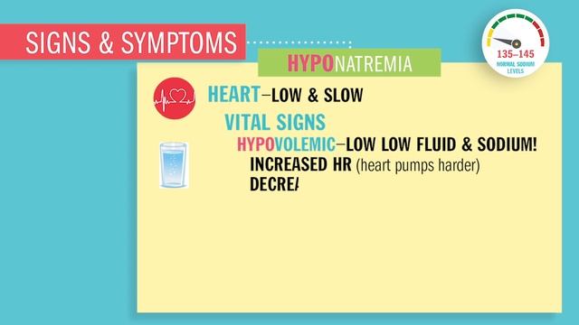 Electrolyte Imbalances | Hyponatremia (Low Sodium) смотреть онлайн