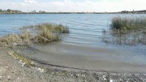 Река Аксай Ростов на Дону