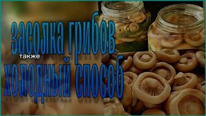 засолка грибов холодным способом рецепт / как вкусно засолить грибы