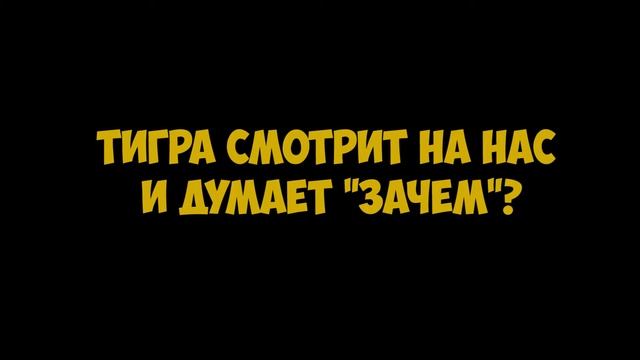 Моя первая рыбалка! Поймал окуней и чебаков1 смотреть онлайн