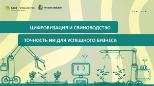 Цифровизация и свиноводство: точность ИИ для успешного бизнеса