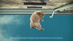 Реклама Печенье Юбилейное   Женя и Женя