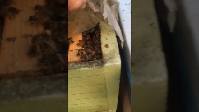 Первый месяц лета смотреть онлайн