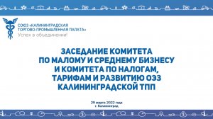 29.03.2022 ЗАСЕДАНИЕ КОМИТЕТА ПО МАЛОМУ И СРЕДНЕМУ БИЗНЕСУ И КОМИТЕТА НАЛОГАМ ТАРИФАМ И РАЗВИТИЮ ОЭЗ