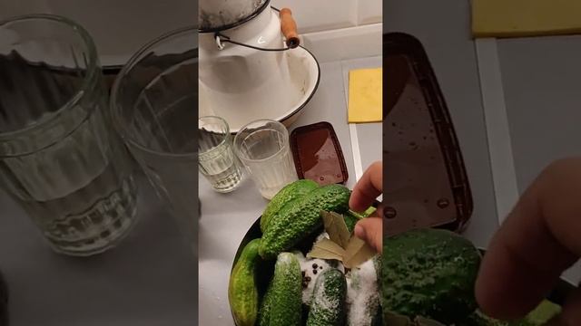 простой способ сделать малосольные огурцы в домашних условиях. смотреть до конца! смотреть онлайн