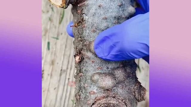 30 Minutes Of Amazing Continuous Production Machinery & Most Admirable Worker Ever Before смотреть онлайн