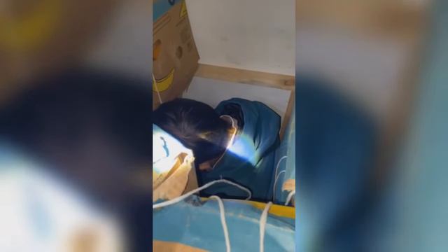 Мигранты из Узбекистана пытались попасть в Россию в коробках с дынями.
