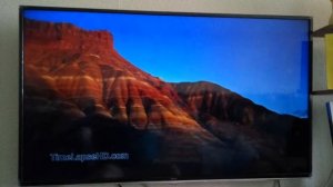 Отзыв о андроид телевизоре Dexp F49B8100K 4 месяца спустя