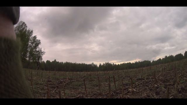 В ПОИСКАХ ТРОФЕЙНОГО КОЗЛА 2021- IN BLOOD (ВЕСЕННЯЯ ОХОТА на САМЦОВ КОСУЛИ) смотреть онлайн