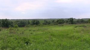 Б.КУРОЕДОВО 2015 -  Оренбургская обл. Бугурусланский р-н 1