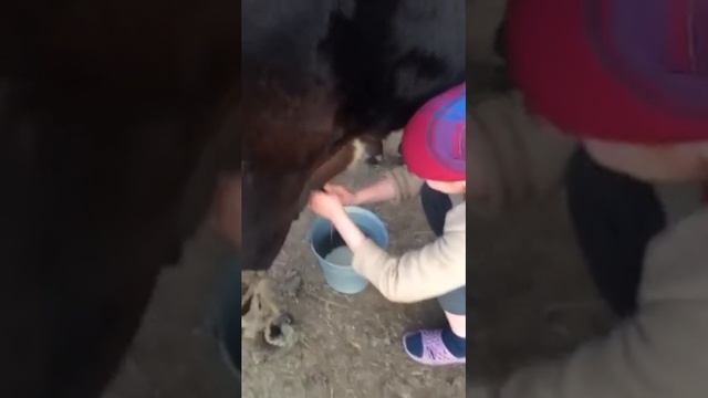 Мастер вокзала Уральск