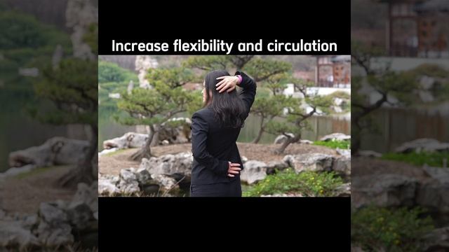 New Qi | Qigong | Karen Shadow Scout Back View смотреть онлайн