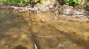 Медный ручей. Объявление!