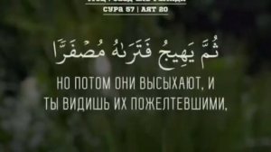 сура 57 аят 20