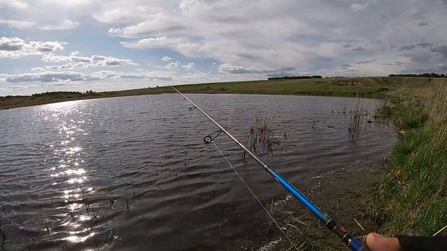 Ловля щуки. Летняя рыбалка. Щука на воблеры и на неогрузку. Рыбалка2020. смотреть онлайн