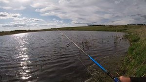 Ловля щуки. Летняя рыбалка. Щука на воблеры и на неогрузку. Рыбалка2020.