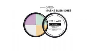 How to use the Cover All Concealer Palette by WET N WILD