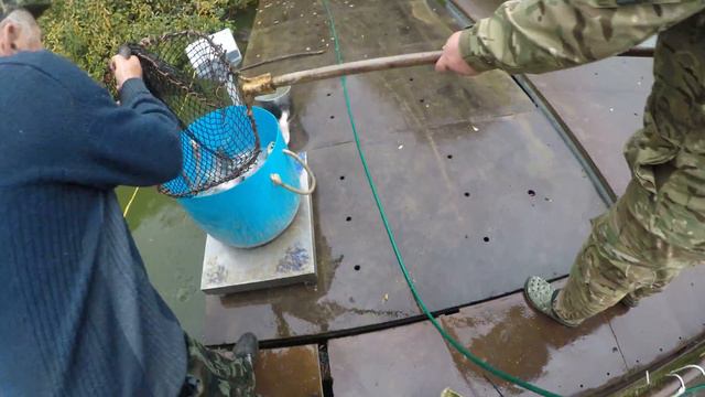 Зарыбление Форелью 504 кг смотреть онлайн