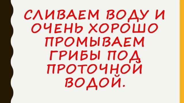 Маринованные белые грибы на зиму смотреть онлайн