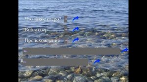 Презентация Окружающий мир  3 класс  Экосистема озера